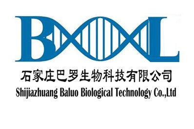 石家庄巴罗生物科技 聚焦创新，领跑区域生物科技新赛道