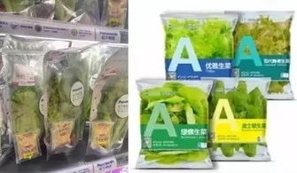 苏州松下生产科技新植物工厂蔬菜出货，生物科技引领农业未来